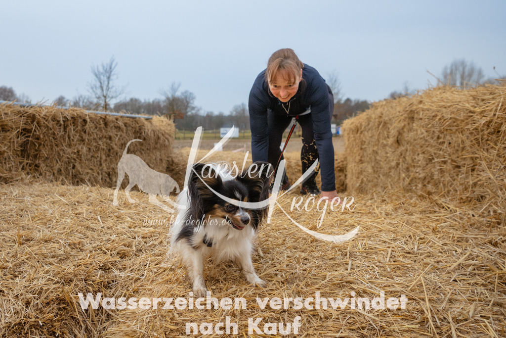 0806_ZZ92134 | kk-dogfotos