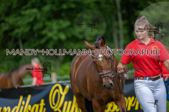 DR 4 (48 von 370) | mandyhollmannphotographie