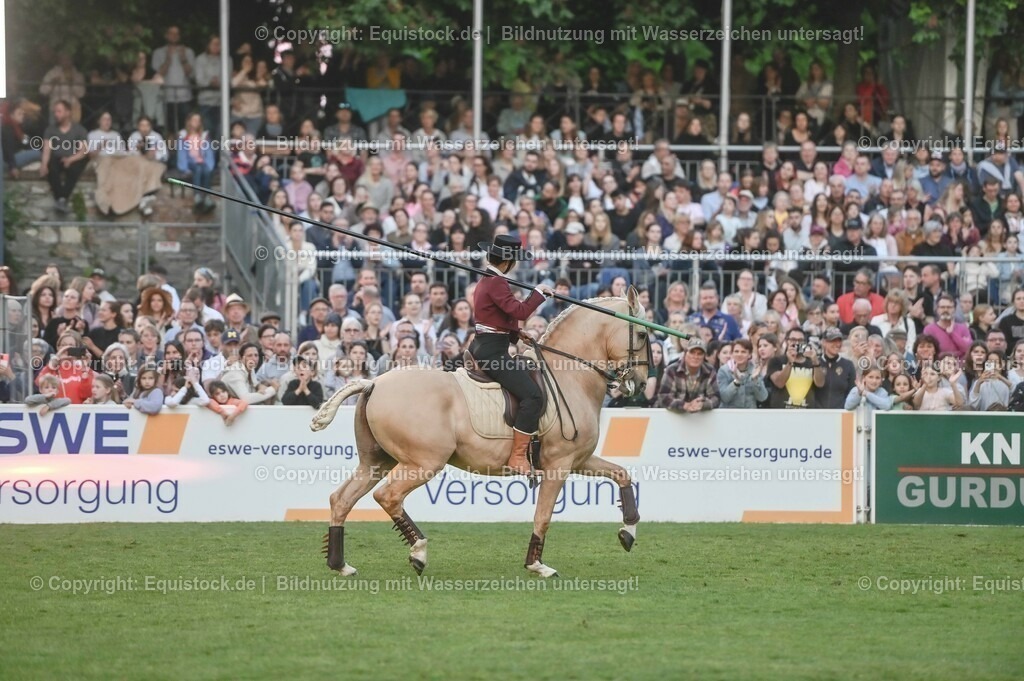 20230526_Pferdenacht_0787 | equistock
