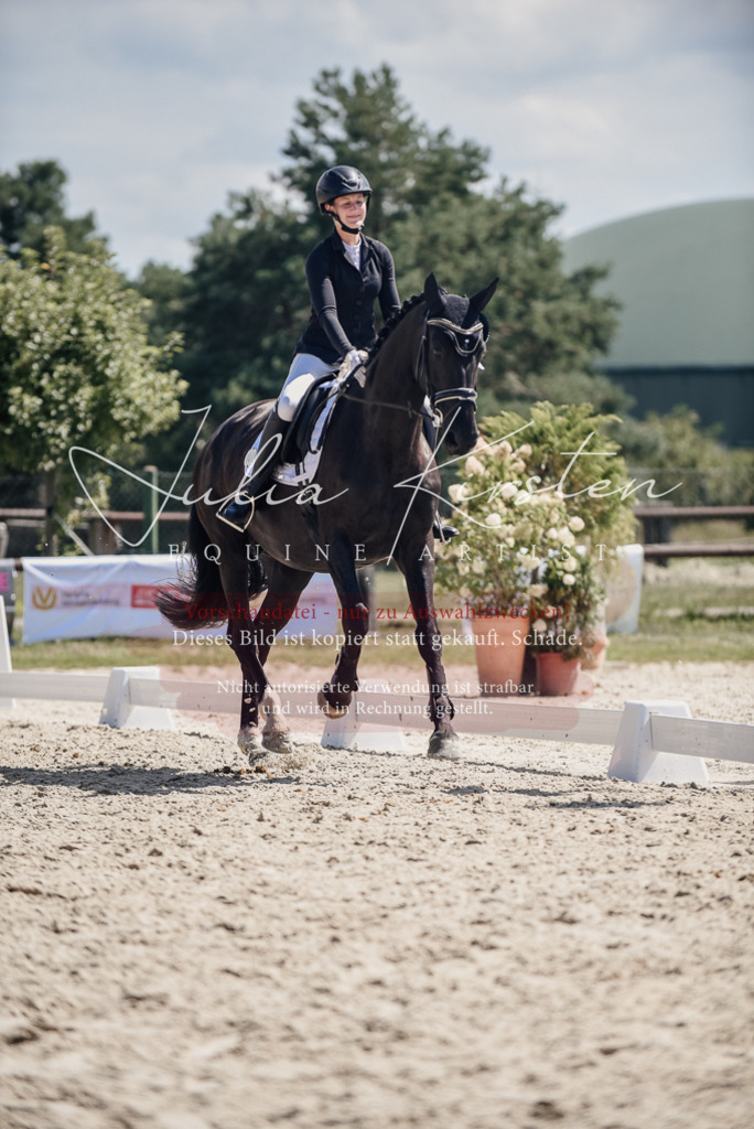 DSC_8822 | Pferde- und Turnierfotografie in Westsachsen. Pferdeportraits, Auftragszeichnungen und intuitive Kunst.