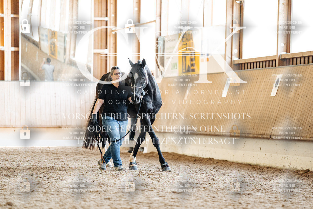 CK907562 | Turnierfotografie Pferdefotografie Trier Rheinland-Pfalz Pferdesport Reitsport Tierfotografie Sportfotografie Pferdevideo Pferdevideografie Equestrianvideography equestrianphotography  - Realisiert mit Pictrs.com