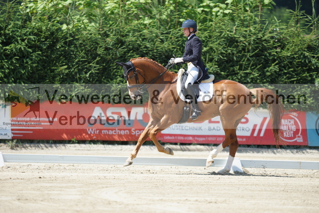 DSC02201 | equestrian-live-com