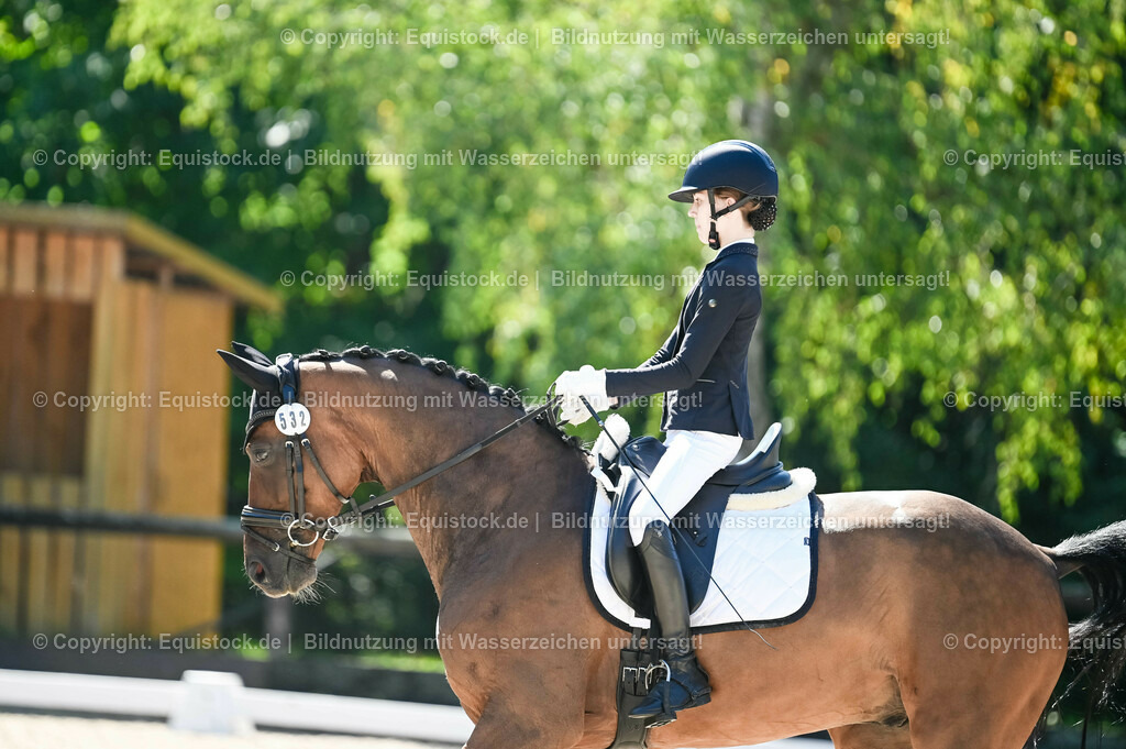 20230908_06_Dressur-L-Trense_0323 | equistock