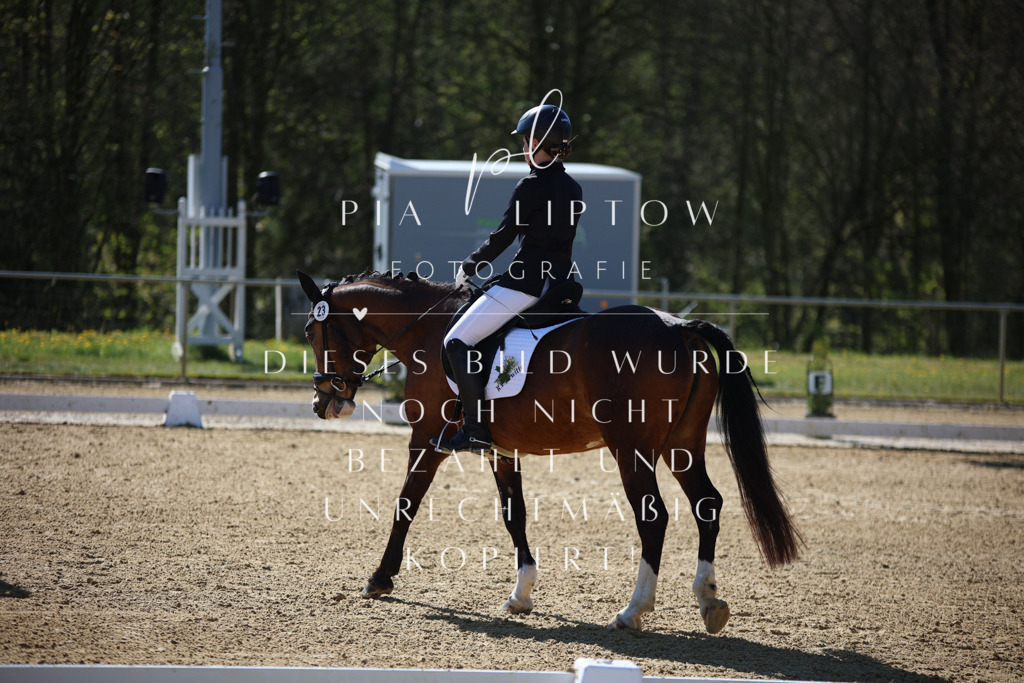 IMGT0098 | pl-fotografie