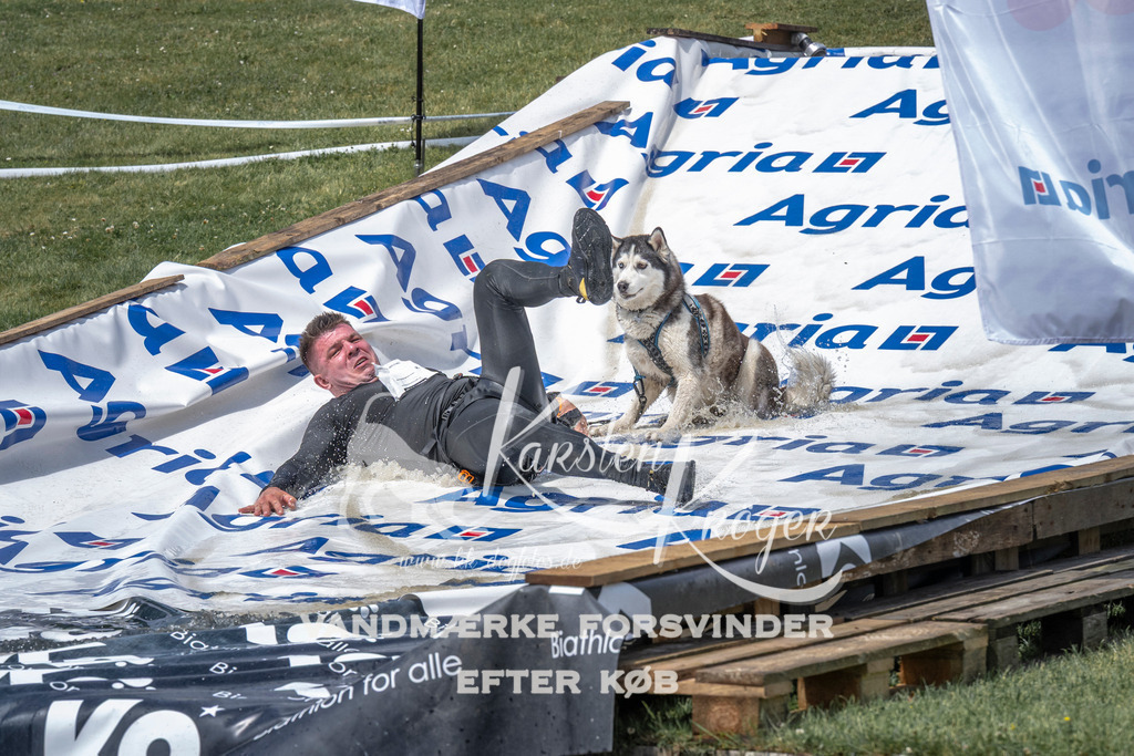 1200_ZZ94668 | kk-dogfotos