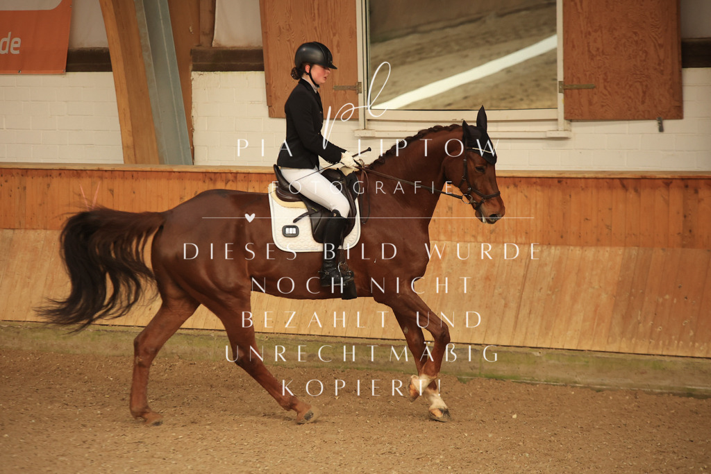 IMGT4119 | pl-fotografie