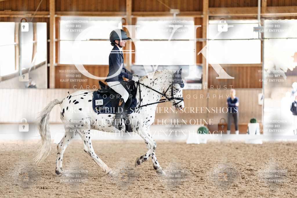 CK901412 | Turnierfotografie Pferdefotografie Trier Rheinland-Pfalz Pferdesport Reitsport Tierfotografie Sportfotografie Pferdevideo Pferdevideografie Equestrianvideography equestrianphotography  - Realisiert mit Pictrs.com