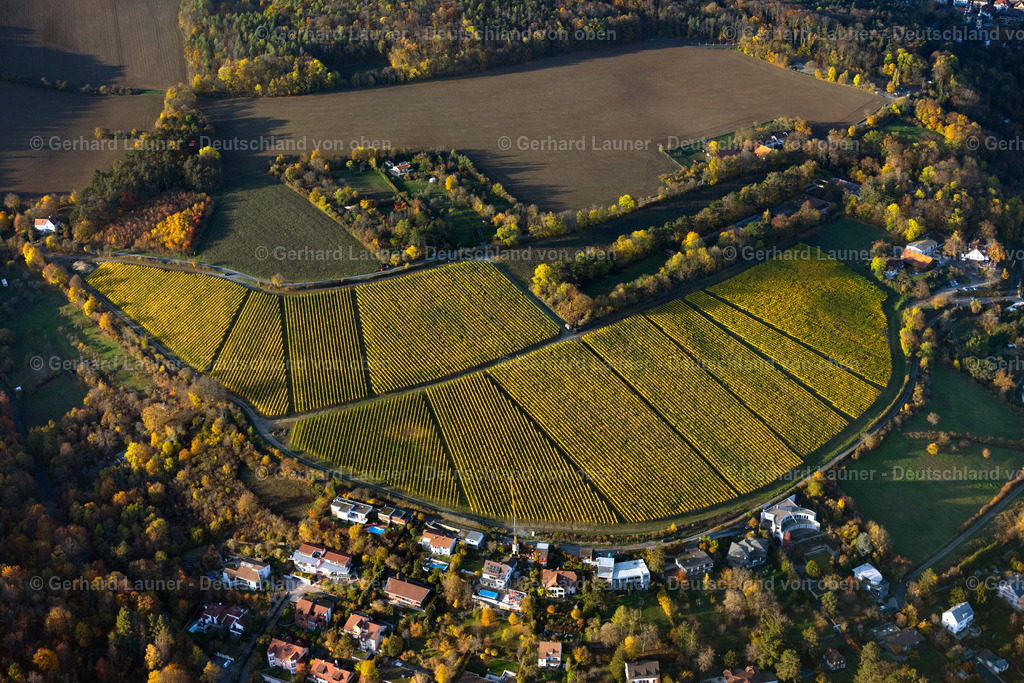 4042234 | Weinbergslandschaft an der Mainschleife bei Escherndorf und Nordheim