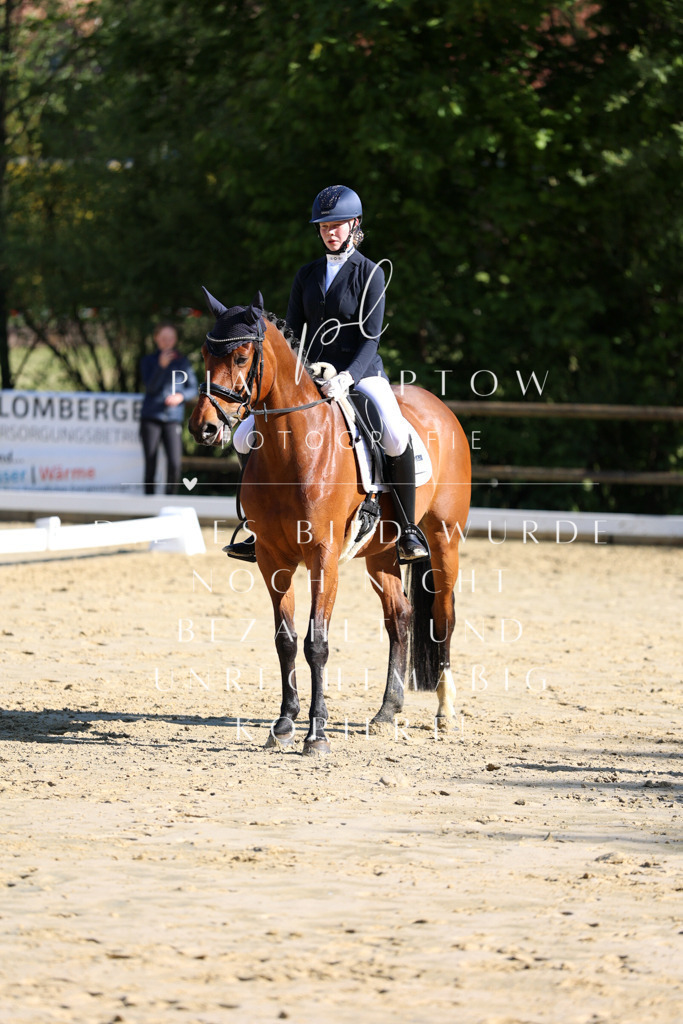 IMGT9555 | pl-fotografie