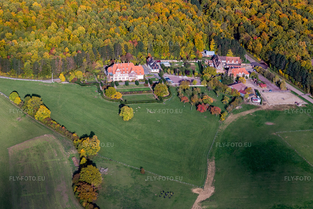 Vue aérienne: Bâtiments et parc du manoir et des Chambres d'Hôtes Villa le Riesack et de la ferme Mellon à la lisière de la forêt aux couleurs d'automne à Niederbronn-les-Bains dans le département Bas Rhin, France. Photo: IMG_084708.jpg prise le 23/10/2015 par Werner Riehm/FLY-FOTO.euRésolution de l'original: 5472 x 3648 px