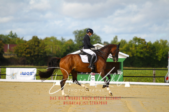 DKP43990 | Turniersportfotografie; Pferdefotografie; Dressurfotografie