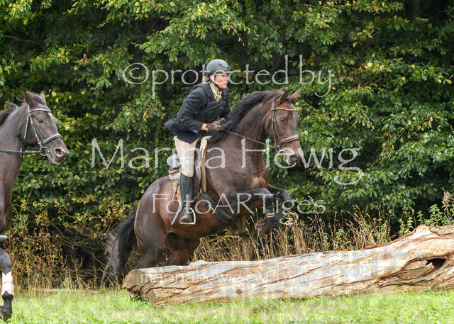 Jagd Perdoel_MarinaHewigMCH03991 | Fotografie, FotoArt, PferdesportArt, Pferdesportfotografie, Landschaftsfotografie, Reisefotografie, Reise, Pferde - Realisiert mit Pictrs.com