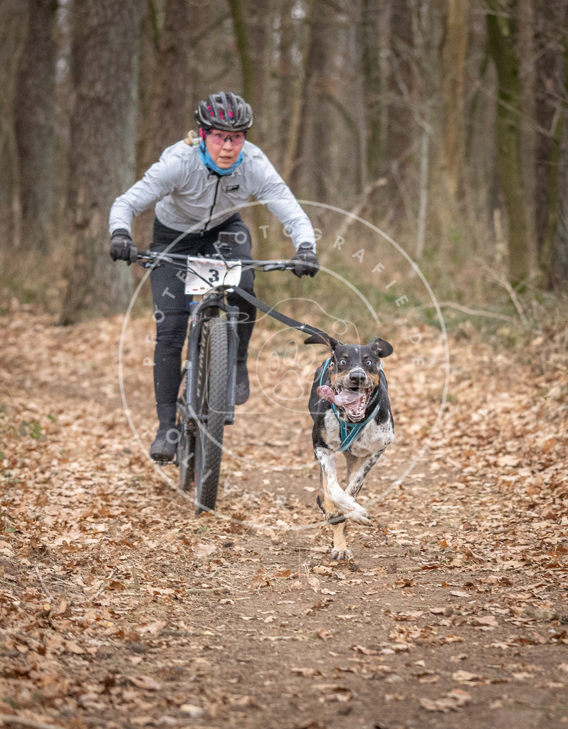 Pfotenfotografie_DV3A6380 | Hundefotografie, Tierfotograf, Pfotenfotografie, Fotoshooting Hund, Hunde Portrait, Hundesport, Hundeportraits, Heideshooting, Hunde, Sportfotograf, Hundefotograf, Turnierhundsport, THS,  - Realisiert mit Pictrs.com