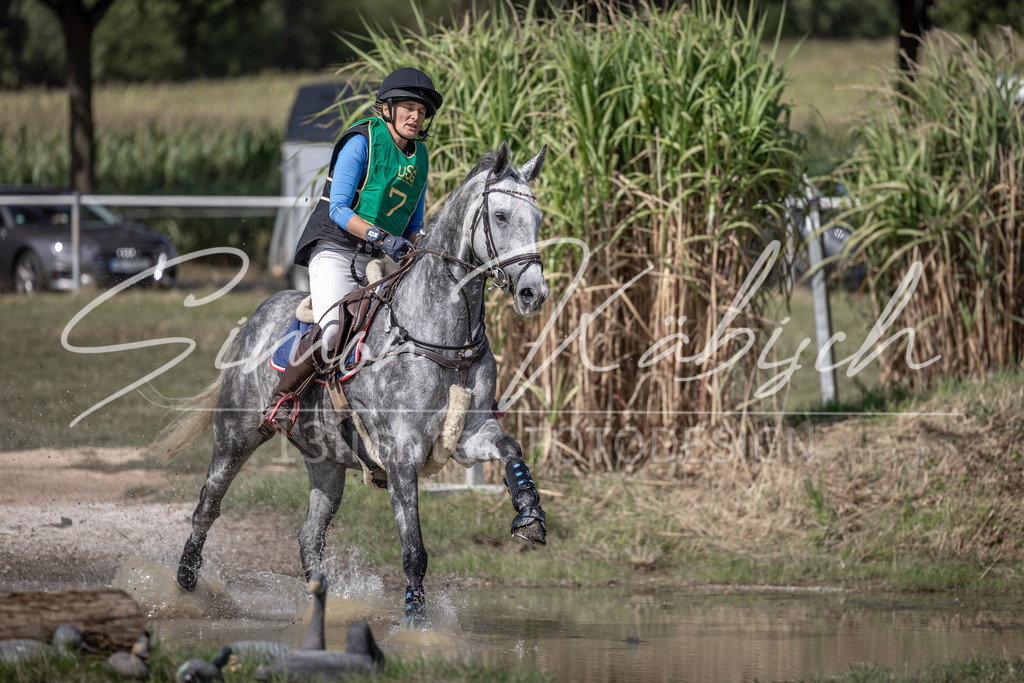 20250907-_3LI0984 | Tierfotografie Pferde, Hunde, Katzen, Haustiere.
Turnierfotografie Reitturniere, Reiten, Springreiten, Dressur in Hanau, dem Main-Kinzig-Kreis und dem Rhein-Main- Gebiet um Frankfurt