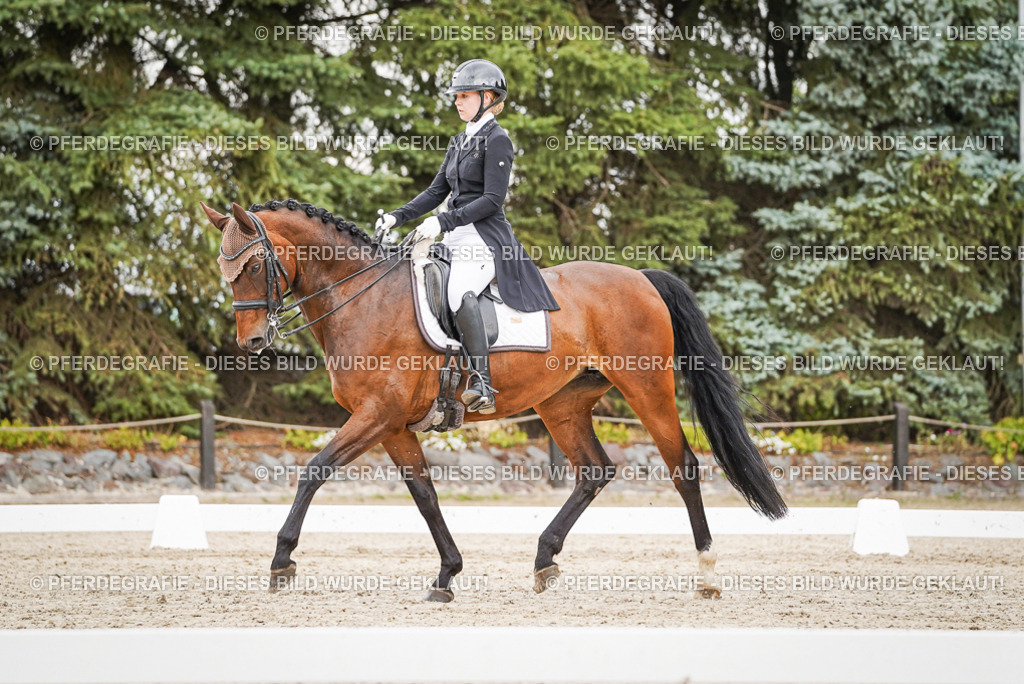 DSC05468 | Pferdegrafie