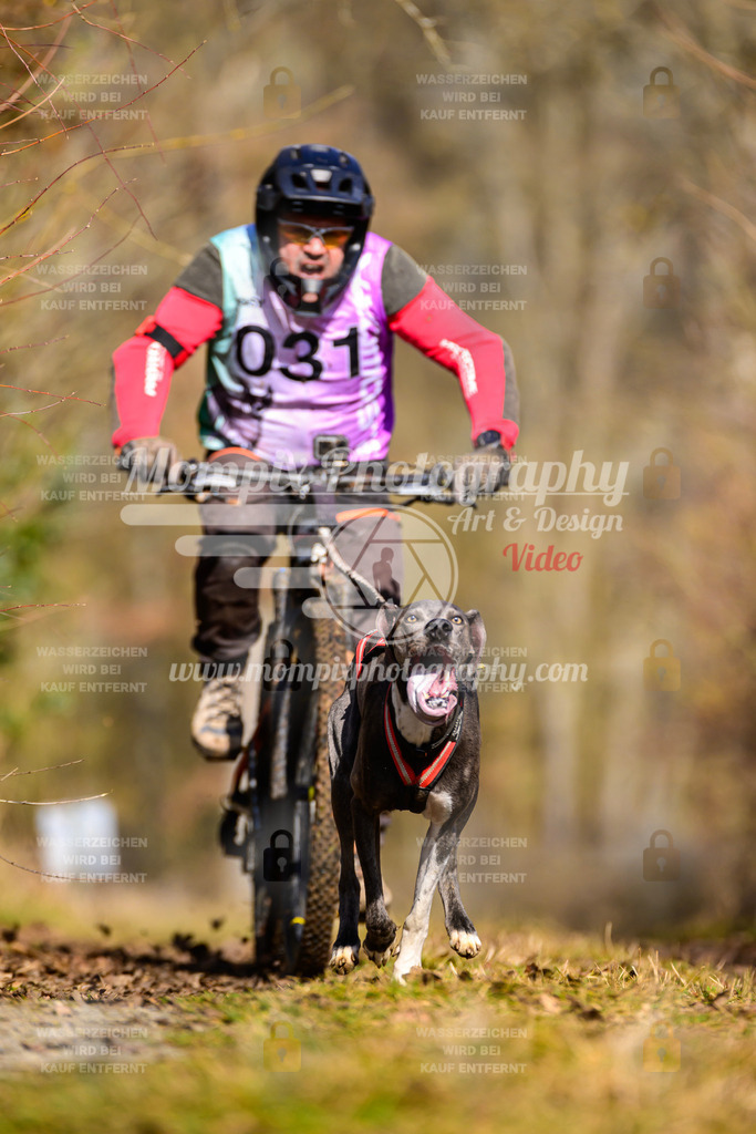MompixPhotography_Schwabentrail2025_SO_Bike-26 | PayLife