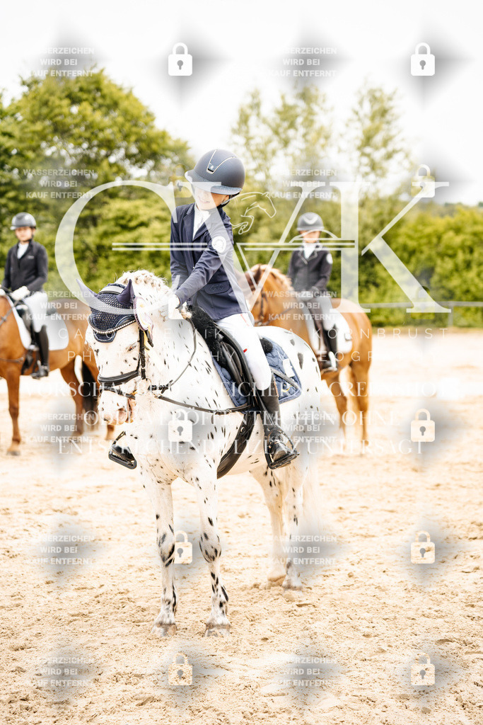 CK703660 | Turnierfotografie Pferdefotografie Trier Rheinland-Pfalz Pferdesport Reitsport Tierfotografie Sportfotografie Pferdevideo Pferdevideografie Equestrianvideography equestrianphotography  - Realisiert mit Pictrs.com