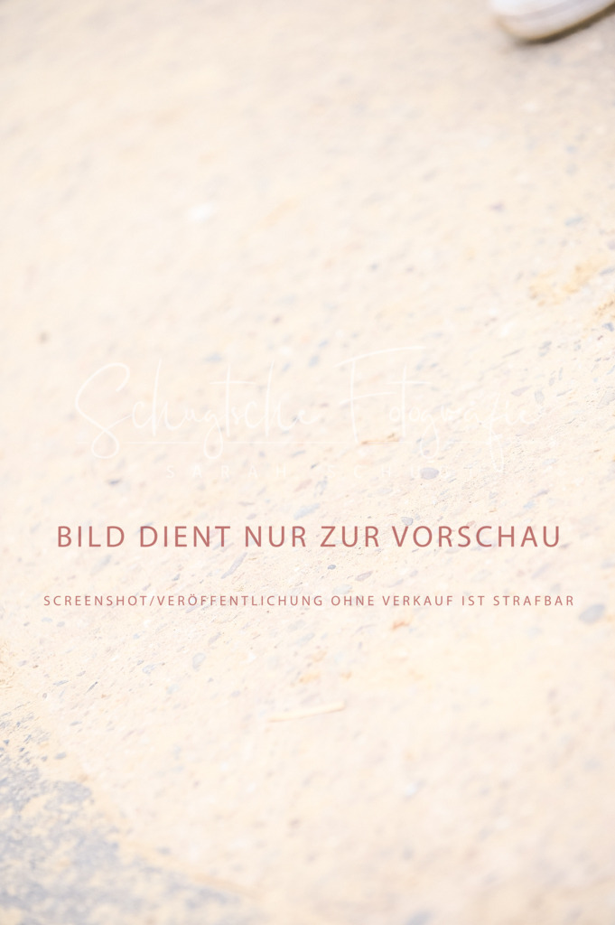 Schugtsche-Aluta25-44.DresssurreiterWB-299 | Schugtsche Fotografie - Realisiert mit Pictrs.com