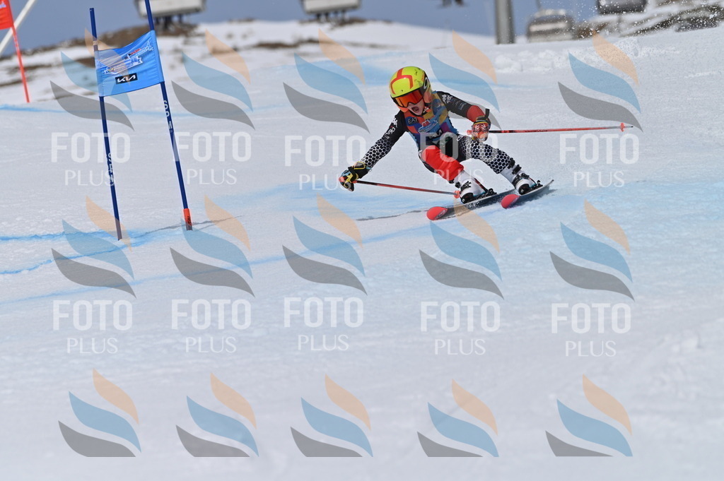 BGV_6062 | holidayphoto