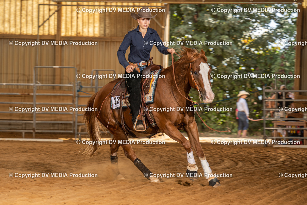 NID02163 | dv-media-shop - Realisiert mit Pictrs.com