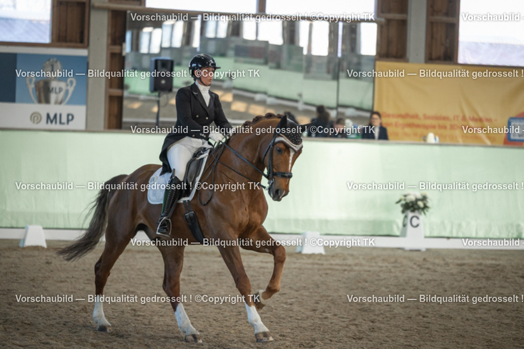 _D5A0847 | Emotionale Pferde- & People-Fotografie rund um Heidelberg, Leimen & Umgebung. Natürliche Fotos von Pferd, Mensch & Familie. Jetzt Termin sichern!