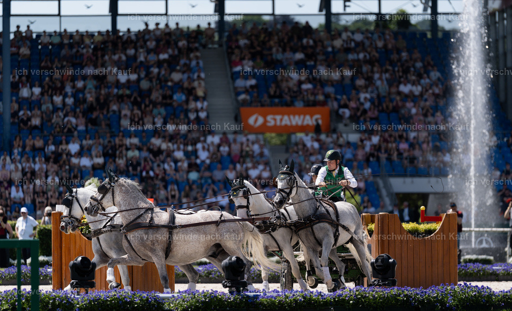 TSCHIO26_JandD_Stoibphotography_DSC7332.jpg | working equitationturnier fotograf videograf stoibphotography marixx film working equitation deutschland reitsport turnierfotografie eventfotografie equestrian events