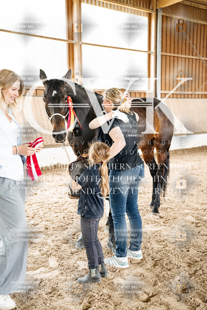 CK703271 | Turnierfotografie Pferdefotografie Trier Rheinland-Pfalz Pferdesport Reitsport Tierfotografie Sportfotografie Pferdevideo Pferdevideografie Equestrianvideography equestrianphotography  - Realisiert mit Pictrs.com
