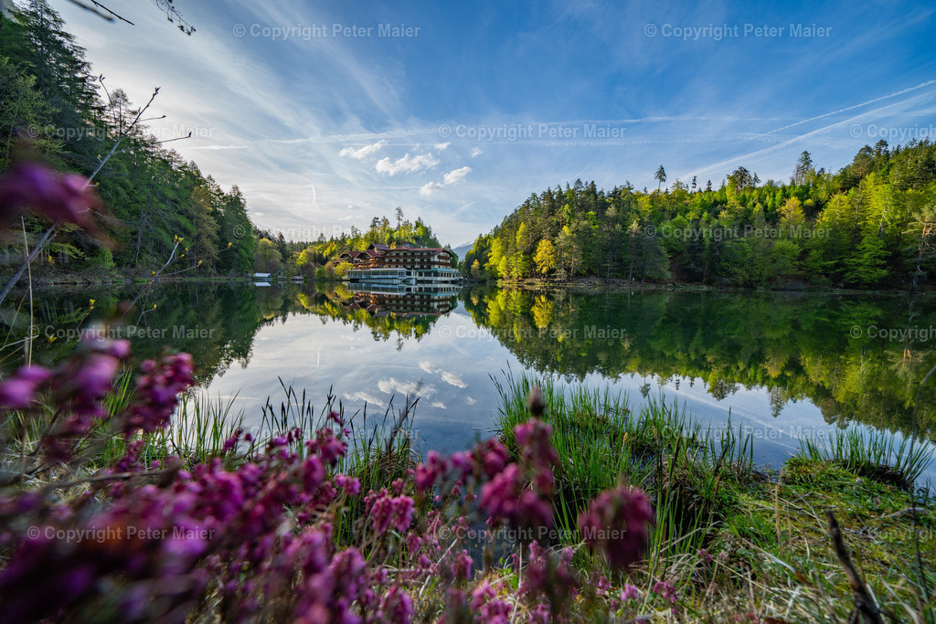 Tristachersee_Frühling-48 | piet_flosse