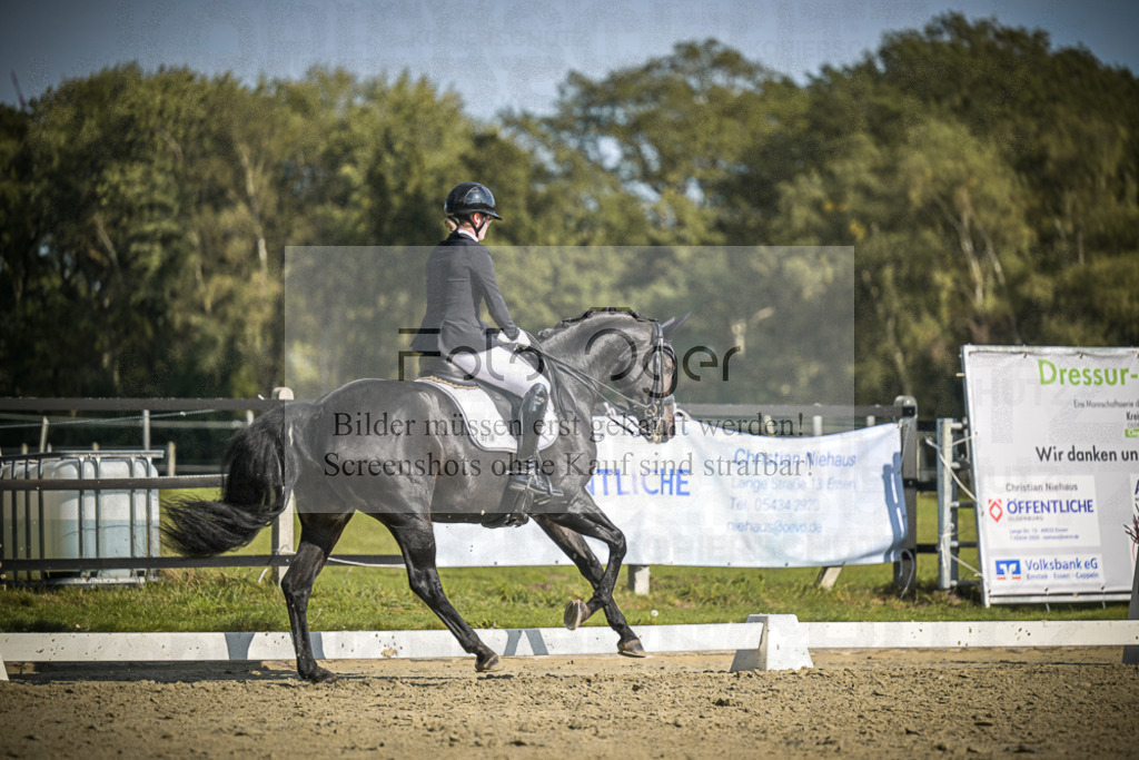 DOS_1646 | Entdecke hochwertige Reitturnierfotos von Foto Oger. Professionell, emotional und authentisch – jetzt Lieblingsmomente im Shop bestellen.Deutschlandweite Turnierfotografie. - Realisiert mit Pictrs.com