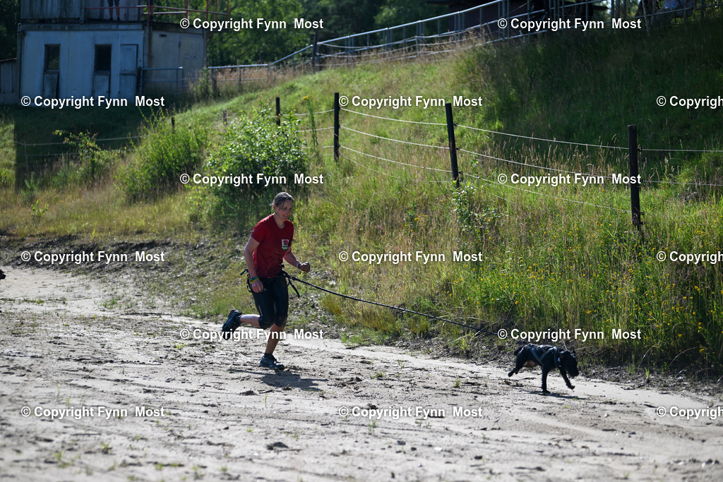 DSC_3601 | Hallo und herzlich Willkommen auf meiner Shop-Seite Fynn Most.

Ich wünsche Dir viel Spaß beim stöbern durch die Bilder, wenn Du Fragen hast oder Bilder vermisst, kannst du mir gerne eine Nachricht schreiben. - Realisiert mit Pictrs.com