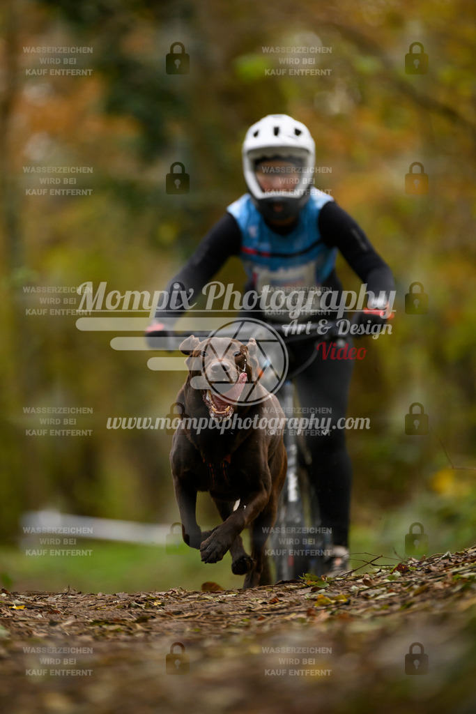 MompixPhotography_Bischwiller24_SA_VTT-66 | PayLife