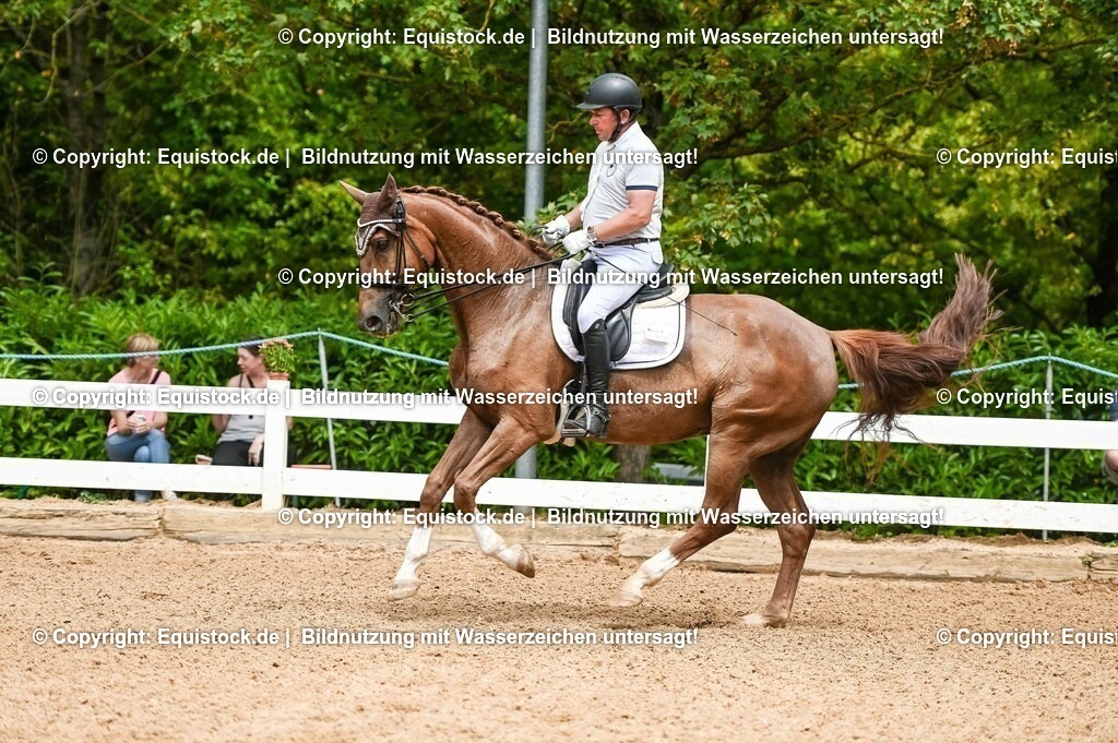 20230716_01_Dressurprüfung Kl.M_0098 | equistock