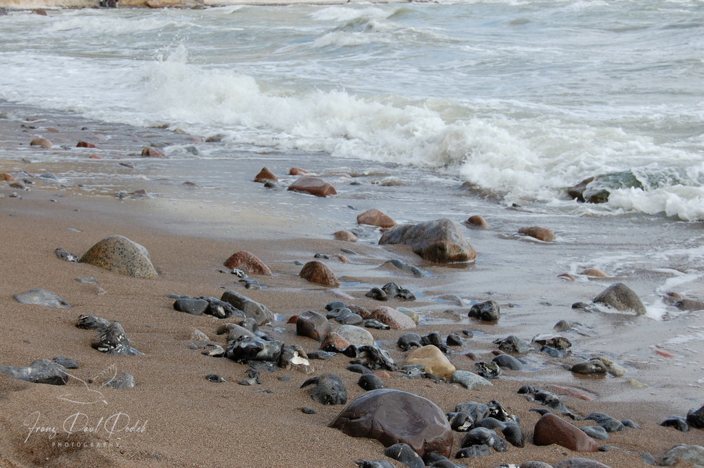 484C7048-0509-409D-8FFC-AD0928DF7274 | Franz Podek