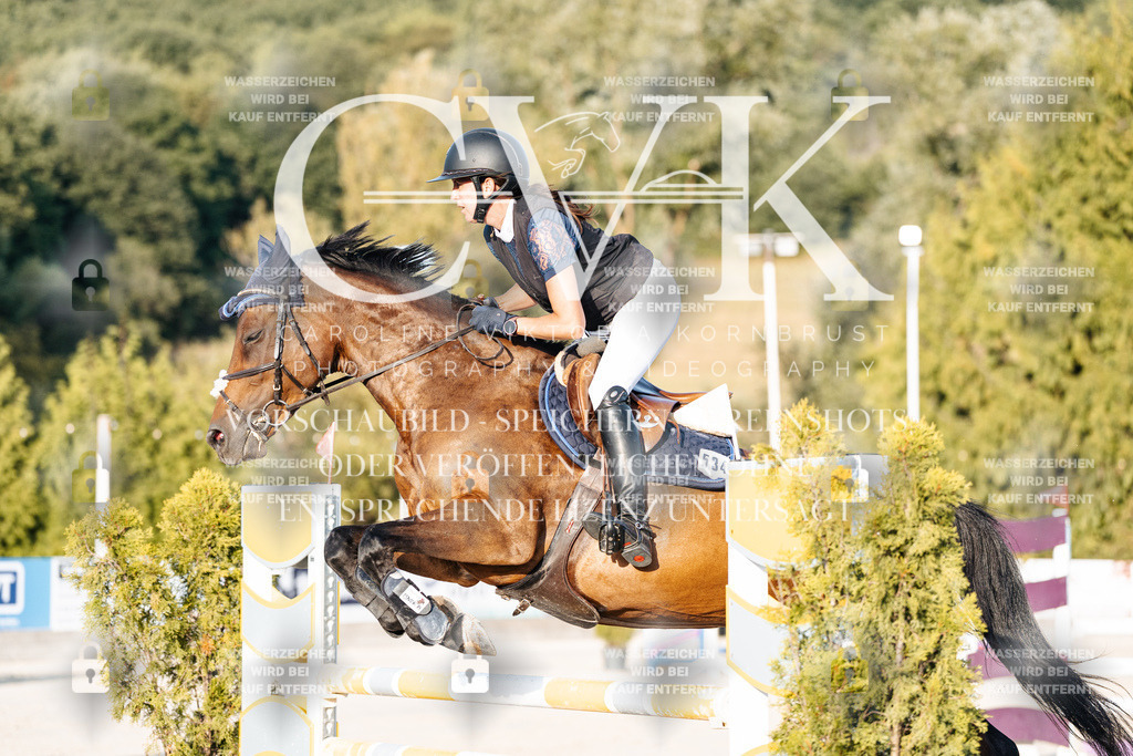 CK900738 | Turnierfotografie Pferdefotografie Trier Rheinland-Pfalz Pferdesport Reitsport Tierfotografie Sportfotografie Pferdevideo Pferdevideografie Equestrianvideography equestrianphotography  - Realisiert mit Pictrs.com