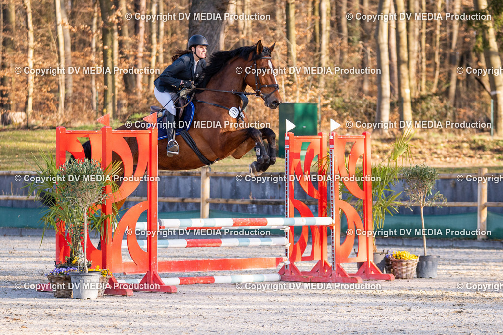 Kranichstein Tag 1-054 | dv-media-shop - Realisiert mit Pictrs.com