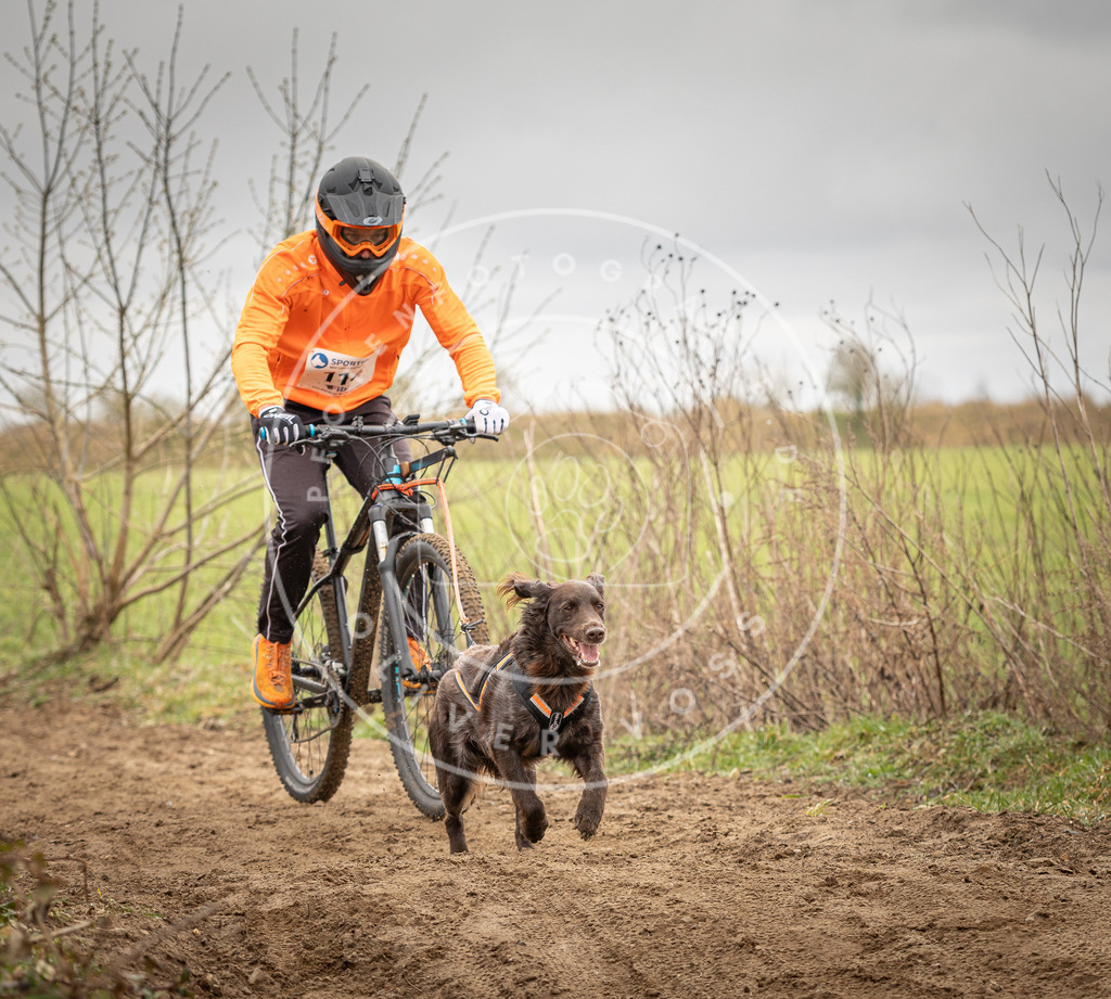 DV3A0820 | Hundefotografie, Tierfotograf, Pfotenfotografie, Fotoshooting Hund, Hunde Portrait, Hundesport, Hundeportraits, Heideshooting, Hunde, Sportfotograf, Hundefotograf, Turnierhundsport, THS,  - Realisiert mit Pictrs.com