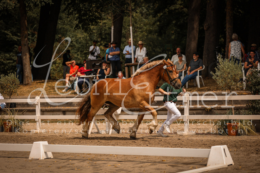 3.Sa00008 | Leoni Ertmer Photography - Realisiert mit Pictrs.com