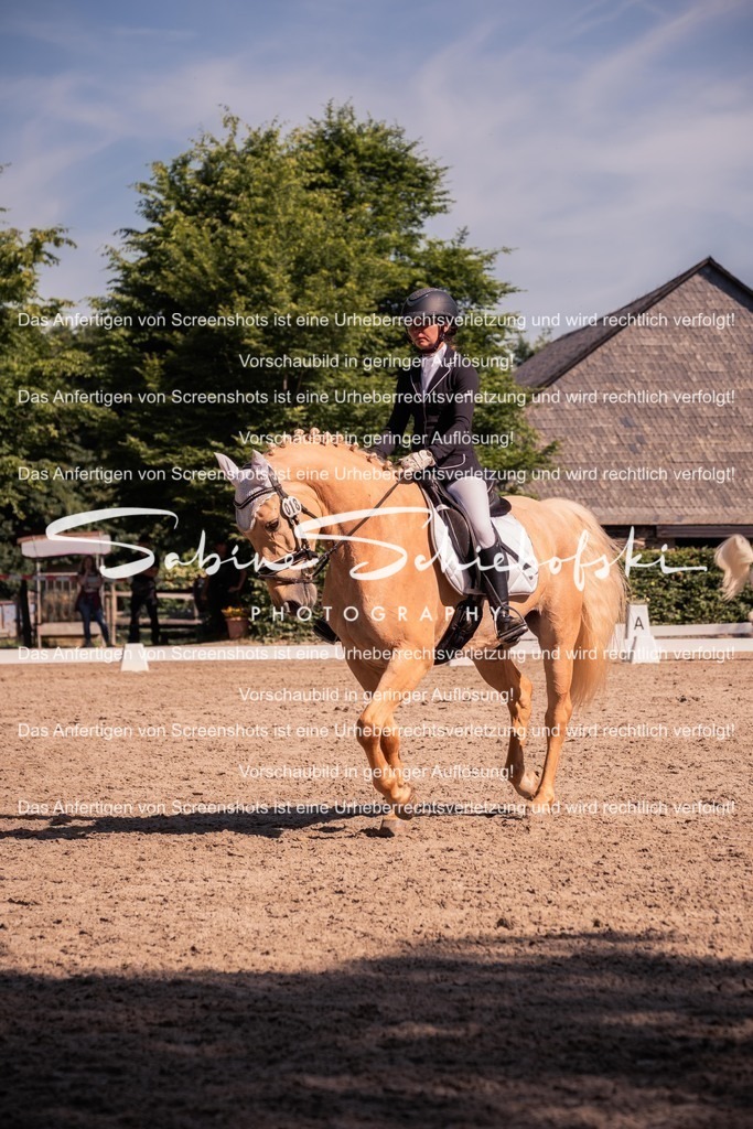 2025_05_31_DSCF3052 | People- und Tierfotografie, Imageaufnahmen, Veranstaltungsfotografie und Wandbilder aus der Natur ★ Made in Germany ✔️ Druck + Downloads ✔️ Naturfotografie in Top Qualität ★ schneller Versand, weltweite Lieferung! - Realisiert mit Pictrs.com