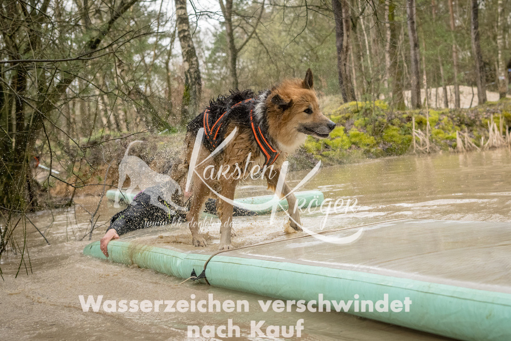 1333_ZZ90928-Bearbeitet | kk-dogfotos