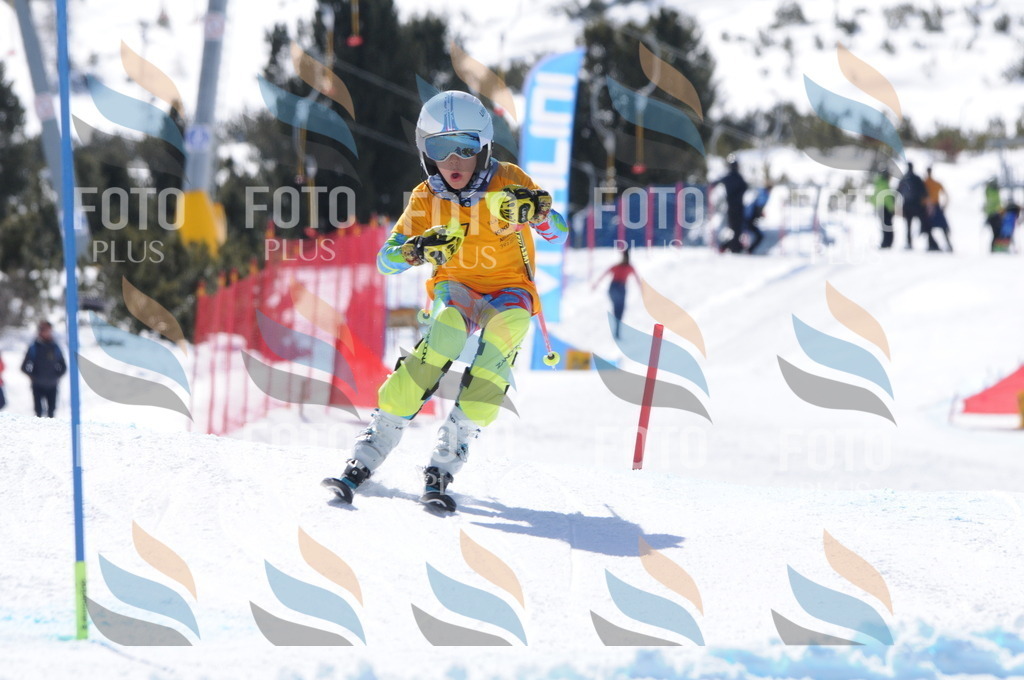 C9272 | holidayphoto