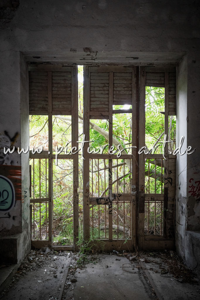 DSC04601 | pictures-art.de