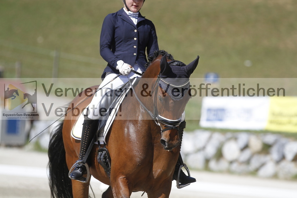 _MG_0451 | equestrian-live-com