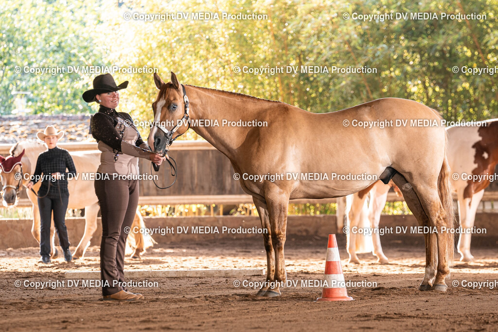 Erbach Tag 3-107 | dv-media-shop - Realisiert mit Pictrs.com