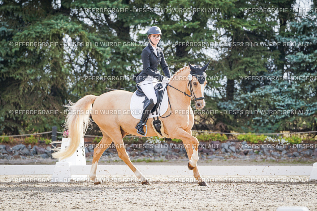 DSC00876 | Pferdegrafie