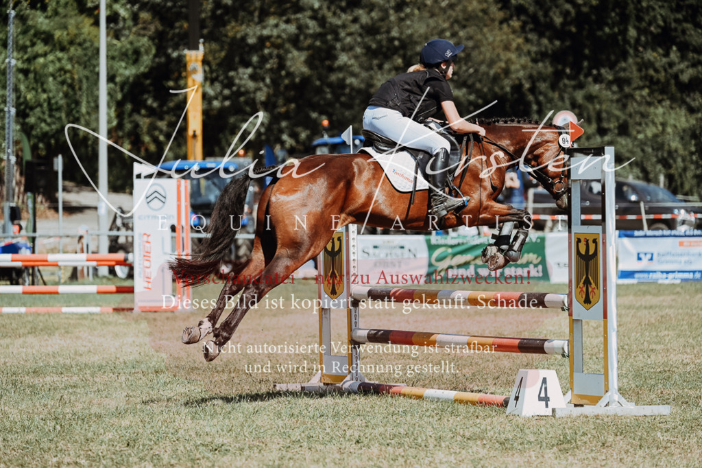 DSC_9910 | Pferde- und Turnierfotografie in Westsachsen. Pferdeportraits, Auftragszeichnungen und intuitive Kunst.