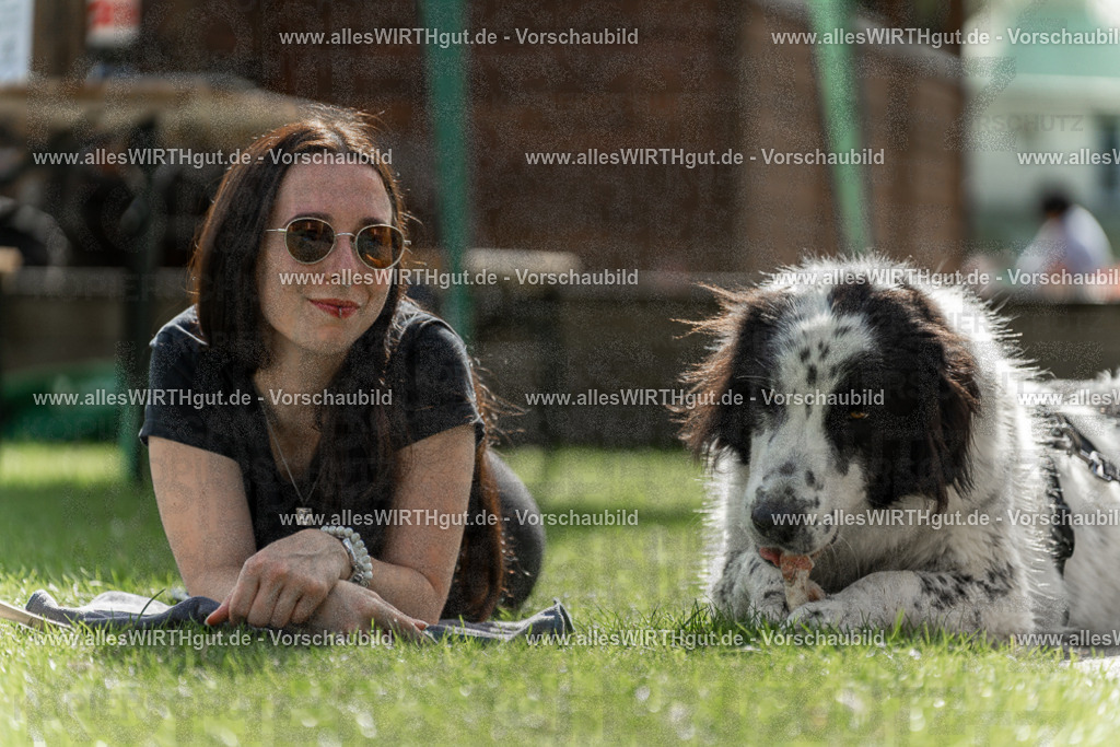Hundeschwimmen_Volksbad_2026-allesWIRTHgut_Tierfotografie-2609061523-7R501501 | Professionelle Tierfotografie in Mönchengladbach von Daniel Wirth (allesWIRTHgut). Liebevolle & natürliche Bilder von Hunden & Katzen für unvergessliche Erinnerungen.