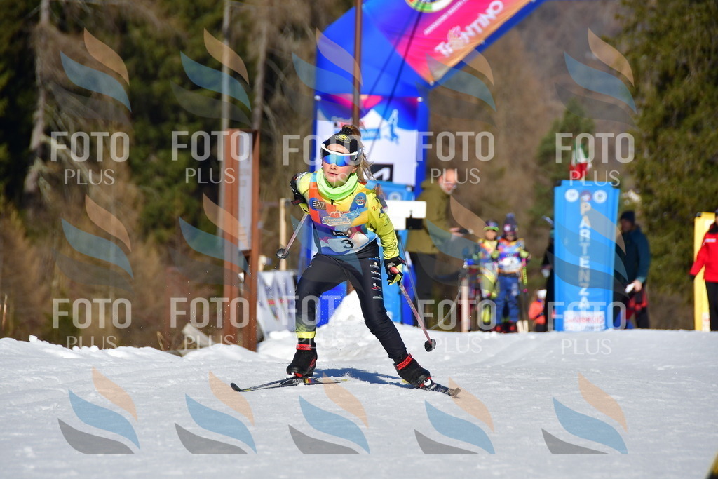 _DSC8600 | holidayphoto