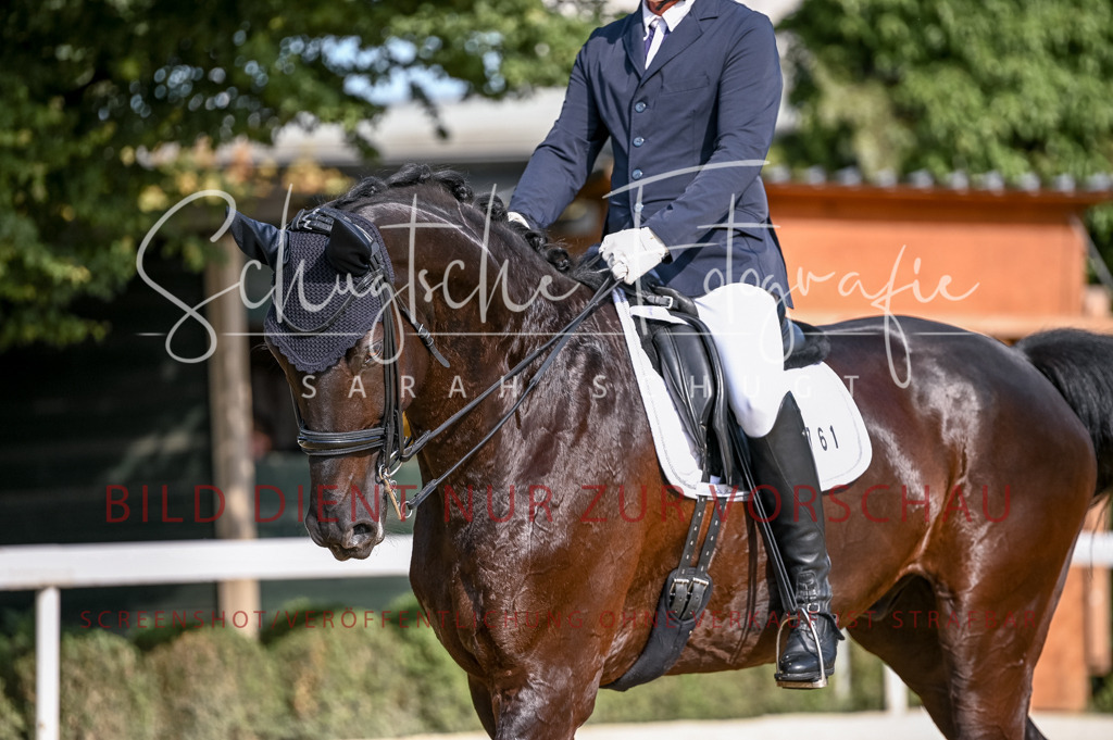 Schugtsche-Aluta25-52.Dressurprf.M2Kand-214 | Schugtsche Fotografie - Realisiert mit Pictrs.com