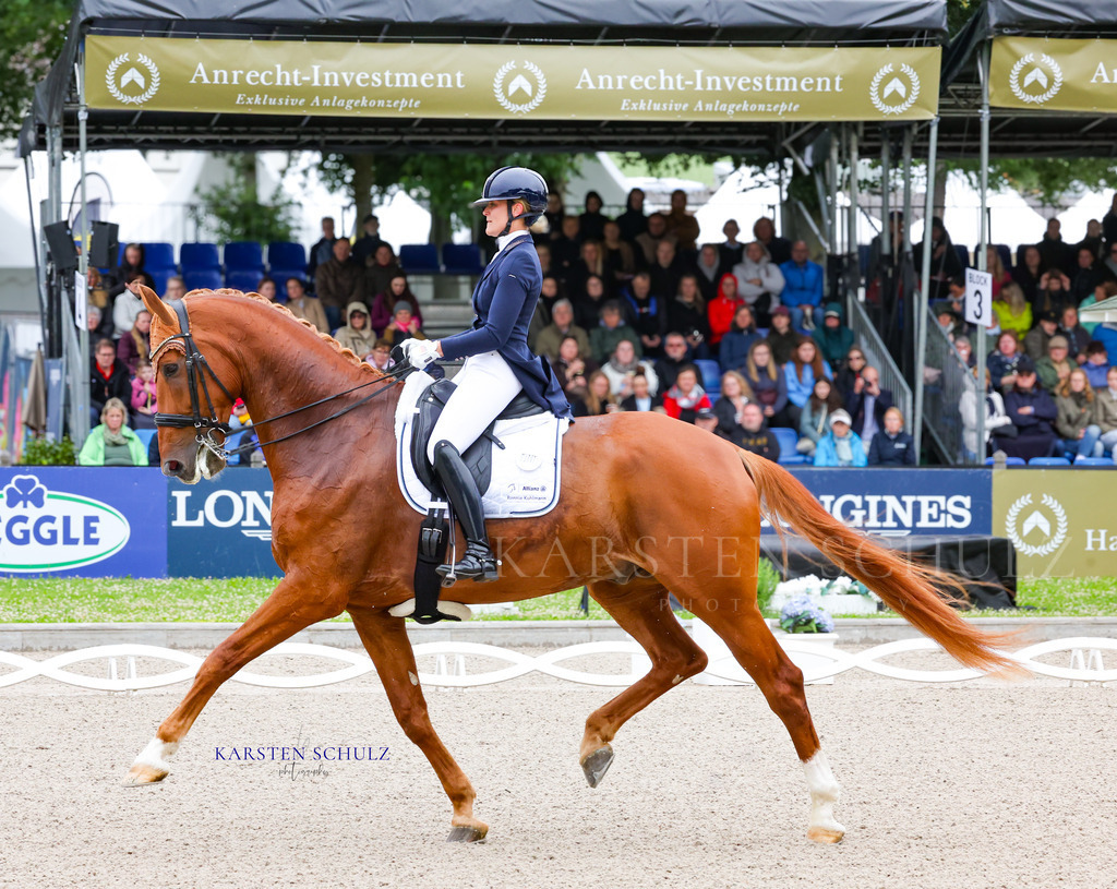 1B3A7214 | Reitsport Reiten