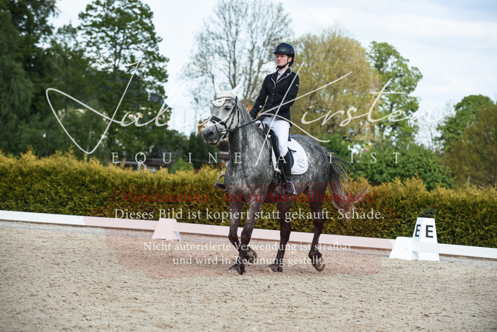 20230518_JK-Röhrsdorf-12-0776 | Pferde- und Turnierfotografie in Westsachsen. Pferdeportraits, Auftragszeichnungen und intuitive Kunst.